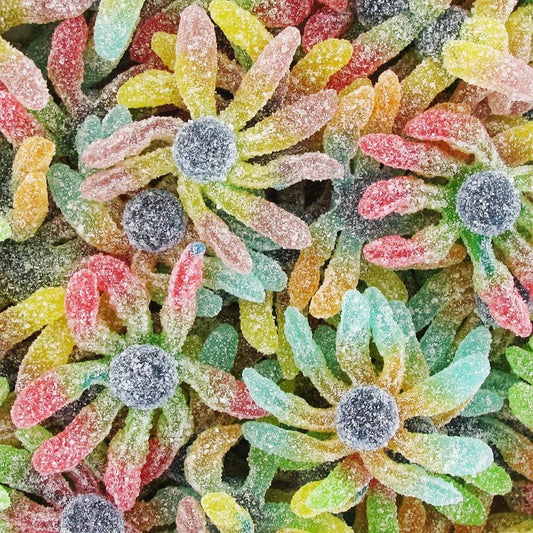PIEUVRES ACIDULÉES (100G)